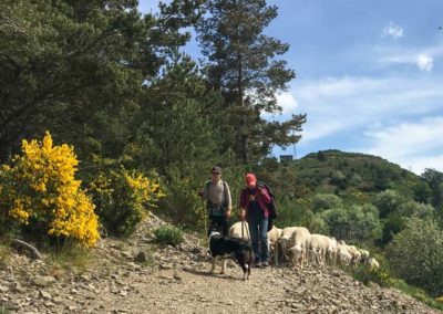 Bergers et leur chien menant un troupeau de brebis depuis le Fageas et descendant vers le col de l'Asclier